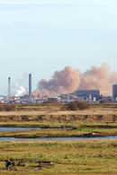 06-1828 Teesmouth National Nature Reserve with Industrial Backdrop